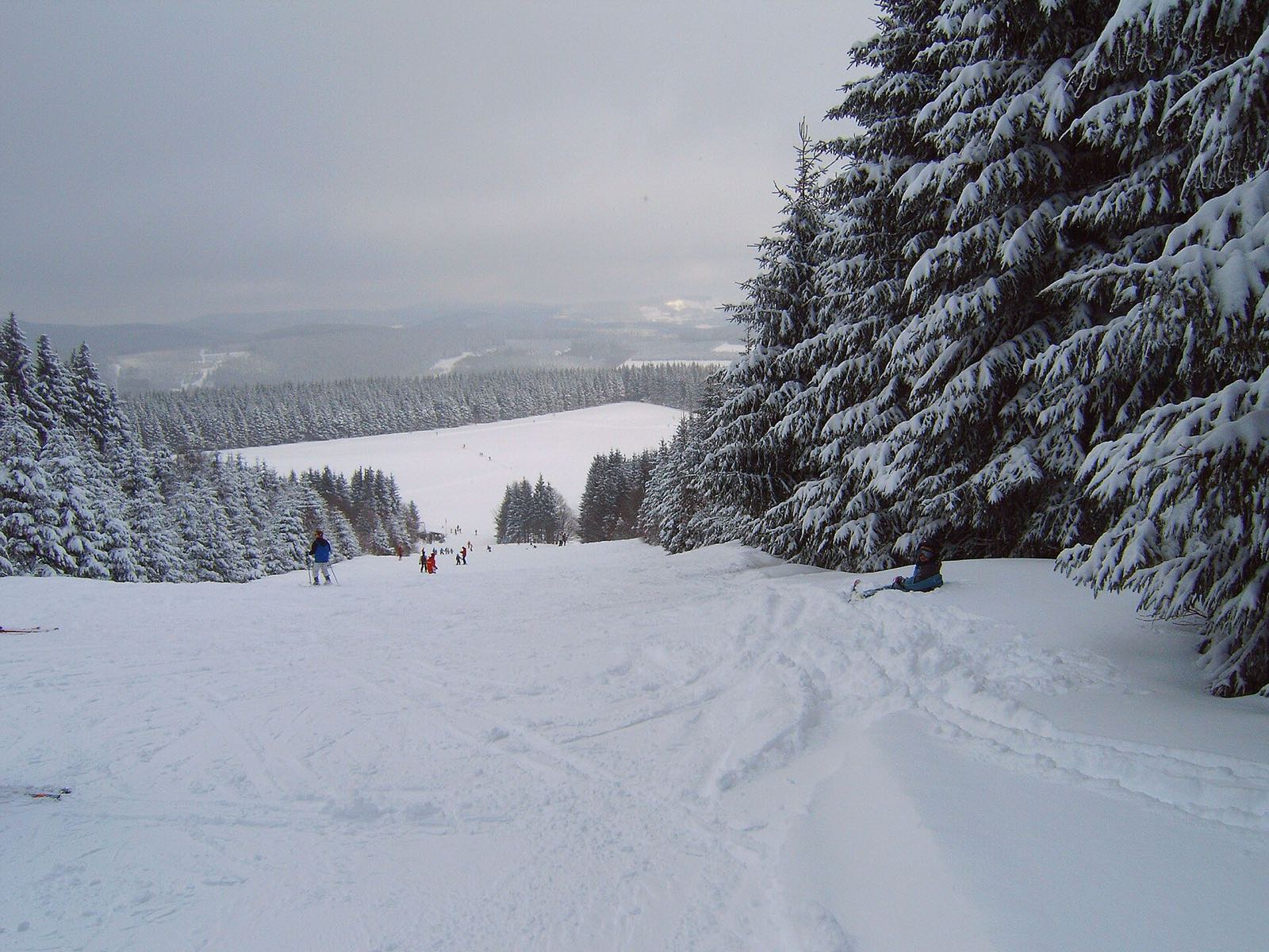 Skipiste met dennenbomen in Winterberg in het Sauerland